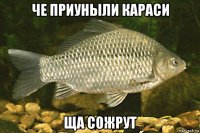 че приуныли караси ща сожрут