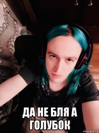  да не бля а голубок