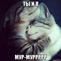 ты и я мур-муррррр