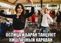  ослица и баран танцуют кишлачный караван