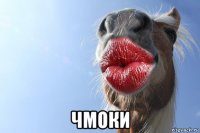 чмоки