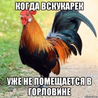 когда вскукарек уже не помещается в горловине