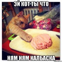 эй кот ты что ням ням калбаска