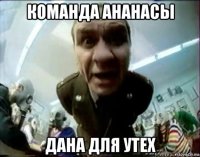 команда ананасы дана для утех