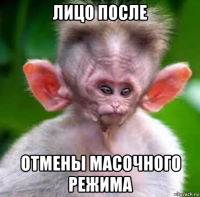 лицо после отмены масочного режима