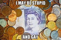 i may be stupid and gay