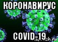 коронавирус covid-19