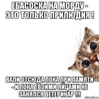 ебасоска на морду - это только прилюдия ! вали отсюда пока при памяти - и пока твоими яйцами не занялся ветеринар !!!
