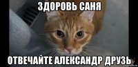 здоровь саня отвечайте александр друзь
