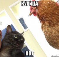 курица кот
