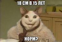 18 см в 15 лет норм?