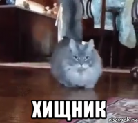  хищник