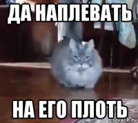 да наплевать на его плоть