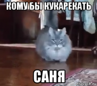 кому бы кукарекать саня