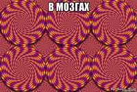 в мозгах 