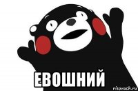  евошний