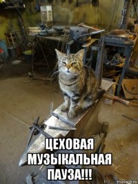  цеховая музыкальная пауза!!!