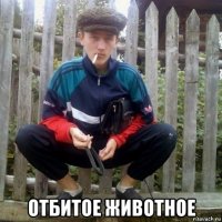  отбитое животное