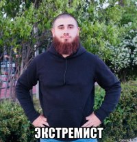  экстремист