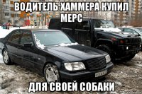 водитель хаммера купил мерс для своей собаки