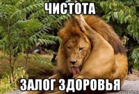 чистота залог здоровья