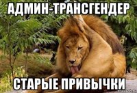 админ-трансгендер старые привычки