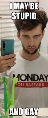 i may be stupid and gay