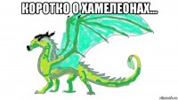 коротко о хамелеонах... 