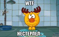 wtf нестерпел..