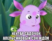  нектар садочок апельсиновый сок ждём