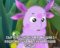  сыр известно кормят мышка с кошкой кошка маленькая кошка ксюша