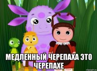  медленный черепаха это черепахе