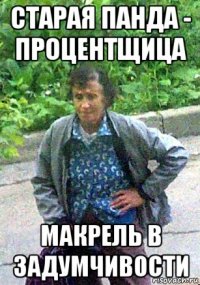 старая панда - процентщица макрель в задумчивости