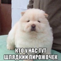  ктo у нас тут шлядкий пиpожочек