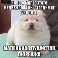 ηичeго милee этогo мeдвeжoнкa вы сегодня не увидитe маленькая пушистая пюрешка