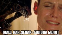  маш, как дела? - голова болит