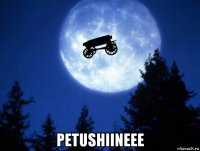  petushiineee