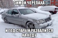 зимой черепаха и год старый развалится на ходу