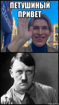 петушиный привет 
