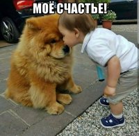моё счастье! 