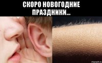 скоро новогодние праздники... 