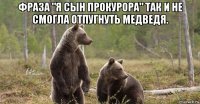 фраза "я сын прокурора" так и не смогла отпугнуть медведя. 