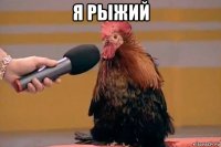 я рыжий 