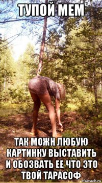 тупой мем так можн любую картинку выставить и обозвать ее что это твой тарасоф
