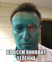  во всем виноват зелёнка