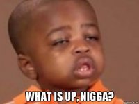  what is up, nigga?