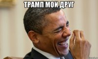 трамп мои друг 