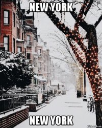 new york new york
