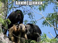 анимешники 
