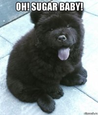 oh! sugar baby! 
